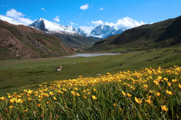 A scenic and high altitude valley, baroghil. Famous for its fresh water lakes, located in Pakistan