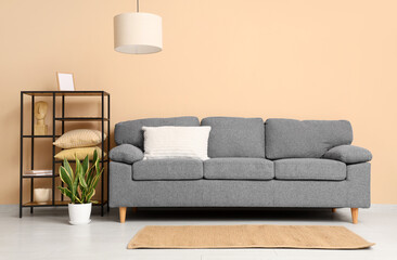 Comfortable sofa with cushion and shelving unit in living room