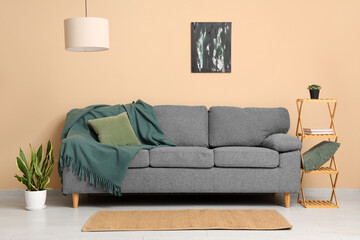 Cozy sofa with plaid and cushion near shelving unit and houseplant in living room