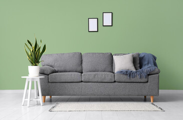 Stylish grey sofa with blanket, cushions and houseplant on coffee table near green wall