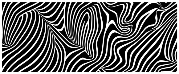 Obraz premium collection of animal-inspired black and white stripe patterns