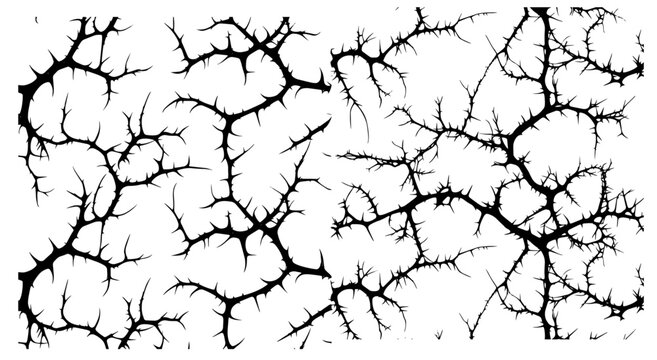 collection of organic black branches in various forms