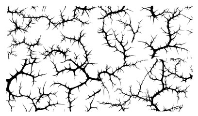 collection of organic black branches in various forms