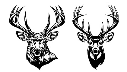 wildlife-inspired deer head sketches with bold lines