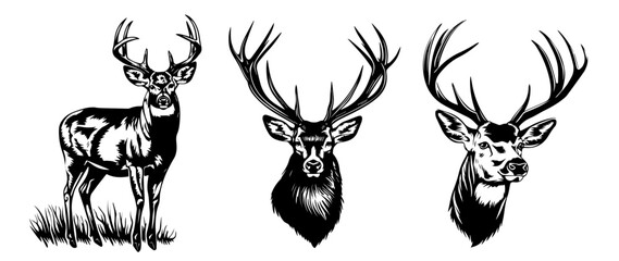 detailed stag head designs in monochrome