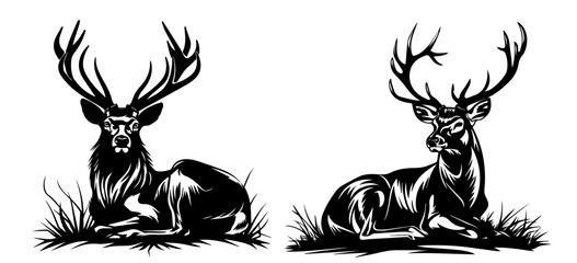 majestic deer illustrations in resting poses