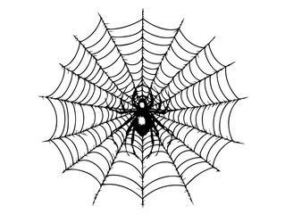 Fototapeta premium Abstract spider web pattern with spider – black vector graphic