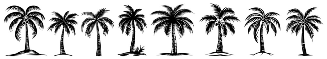 Palm tree silhouette collection – exotic nature black vector