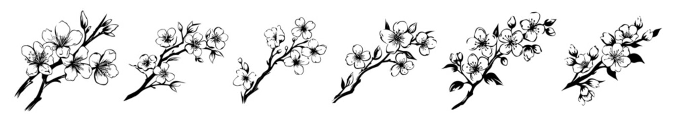 Floral branch sketches – artistic flower illustrations black vector