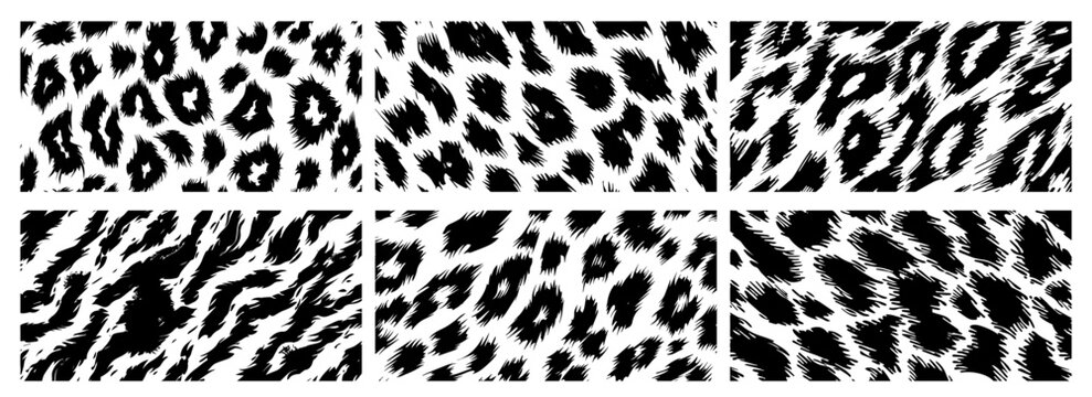 Stylish leopard texture backgrounds – exotic animal print pack black vector