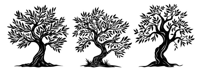 Elegant olive tree illustrations – hand-drawn black silhouette vector set