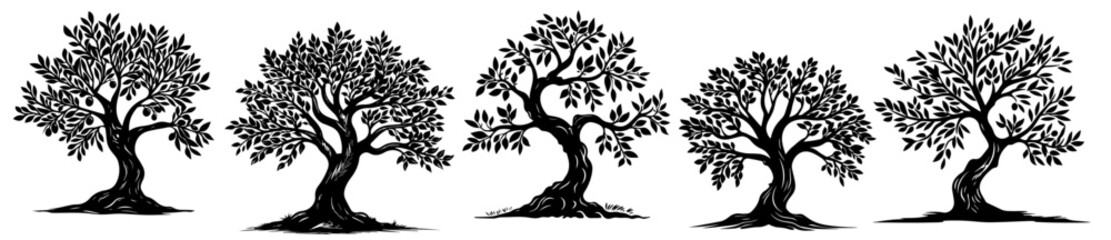 Elegant olive tree illustrations – hand-drawn black silhouette vector set