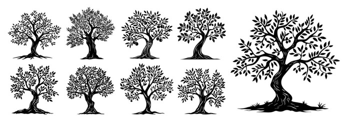 Detailed olive tree graphics – nature-inspired silhouette vector artwork