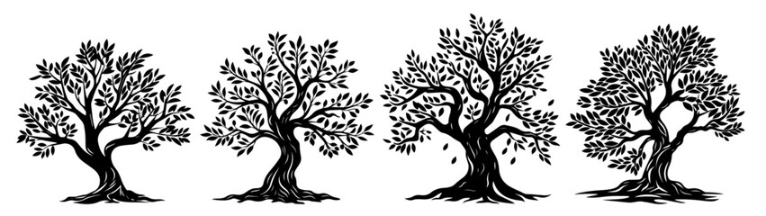 Rustic olive tree designs – black and white botanical vector collection
