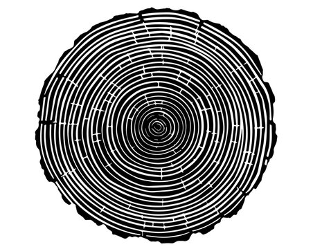 concentric growth rings of trees, artistic style &ndash; black vector