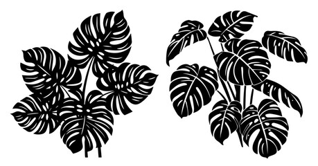 Set of monstera leaf designs – tropical plant illustration black vector