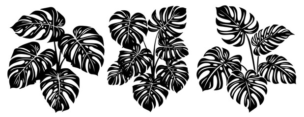 Set of monstera leaf designs – tropical plant illustration black vector
