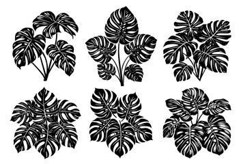 Set of monstera leaf designs – tropical plant illustration black vector
