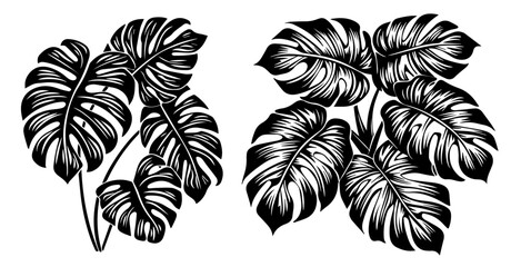 Set of monstera leaf designs – tropical plant illustration black vector