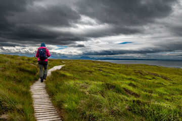 Narrow Wooden Path With Female Hiker On Seabird Protection Reserve Handa Island Near Tarbet In The...