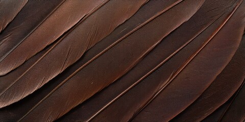 Obraz premium Close-up of Brown Bird Feathers with Detailed Structure