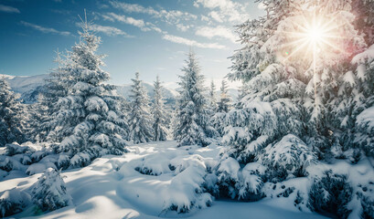 Gorgeous shiny conifers covered with fluffy snow on a frosty day. Merry Christmas and happy new year greeting card.