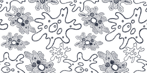 Seamless pattern of amoeba protozoa microorganismus, vector contour hand drawn illustration, background, paper, wallpaper