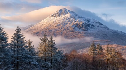 Snowy Mountain Peak Surrounded by Trees Under a Soft Sky