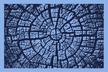 Blue monotone close up of vintage end grain of wood slab. Tree rings art with texture and cracked surface.
