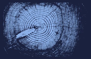 Blue monotone close up of vintage end grain of wood slab. Tree rings art with texture and cracked surface.