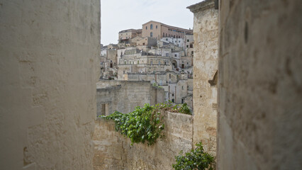 A picturesque view of the historic town of matera in basilicata, italy, showcasing traditional stone buildings and lush greenery during a sunny day.