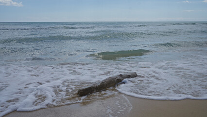 Obraz premium A serene view of the pescoluse beach in salento, puglia, italy, with gentle waves lapping the shore and a piece of driftwood on the sand under a clear blue sky.