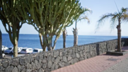 Blurred view of a lanzarote outdoor scene featuring cacti, a stone wall, and the sea in the canary islands, spain.