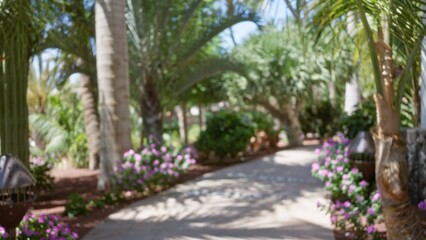 Blurred tropical resort pathway with lush greenery and colorful flowers under bright sunlight