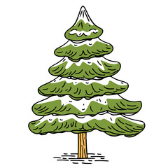 Pine Tree with Snow on Its Branches