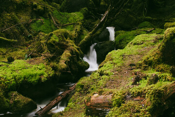 waterfall in the forest