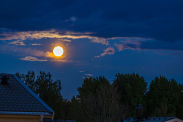 Fototapety na wymiar - Fototapeta24.pl