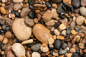 Numerous stones in a variety of colors on the beach at Kohler Andrae State Park, Sheboygan, Wisconsin, recently rinsed by the waves of Lake Michigan