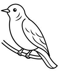 Bird Illustration Drawing Page Perfect for Creative Art and Wildlife Projects