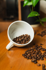 Publicity Day. Colombian coffee. White cup with coffee beans scattered on wooden table with space to copy. Image for advertisement.