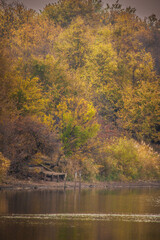 The shore of a calm lake with trees with yellow foliage, next to which there is a wooden bench, against the background of a gray sky