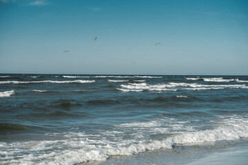 Birds are soaring majestically over the vast ocean on a sunny day