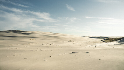 A desert landscape with a bright blue sky and fluffy white clouds