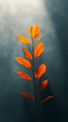 autumn leaves on a tree