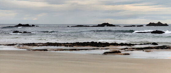 Small sea islands covered with mussels and birds