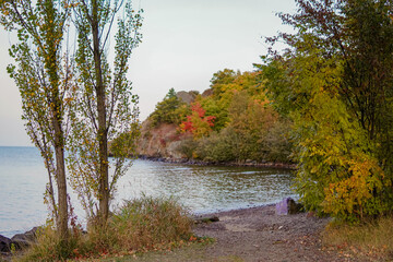 Autumn in the forest with lake and trees