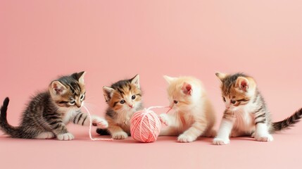 Four adorable kittens play with a ball of yarn.
