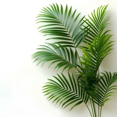 Palm leaves on light background with copy space. AI generate illustration