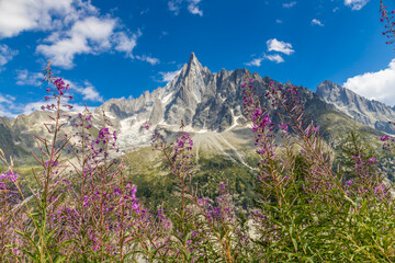 Fototapeta premium Petit Dru granite mountain wall and summit in Chamonix valley, french Alps. Prominent mountain peak in the Alps, stunning landscape view of the rocky peak covered with clouds, snow and ice