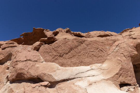 dibujos de llamas en petroglifos de Yerbas buenas, San Pedro de Atacama, desierto de Atacama, Chile